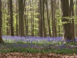 Hyacintenjogging 2016 - 080.jpg